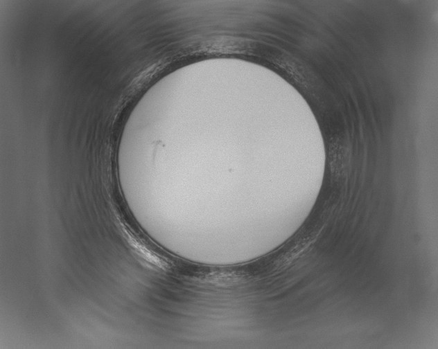 X0000060270445200511241459