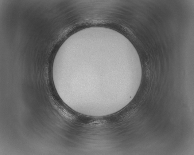 X0000060270447200511241459