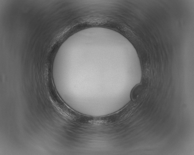 X0000060270448200511241459