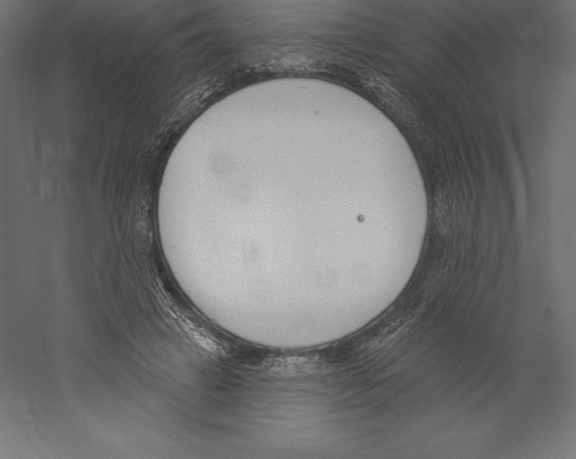 X0000060270449200511241459