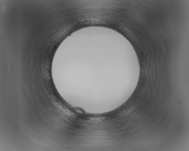 X0000060270450200511241459