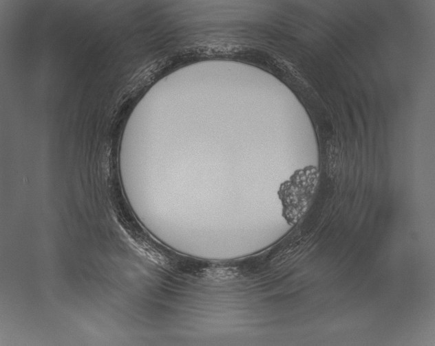 X0000060270451200511241459