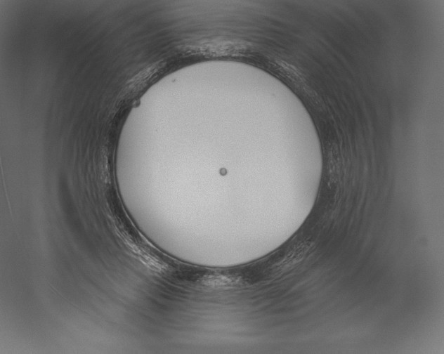 X0000060270453200511241459