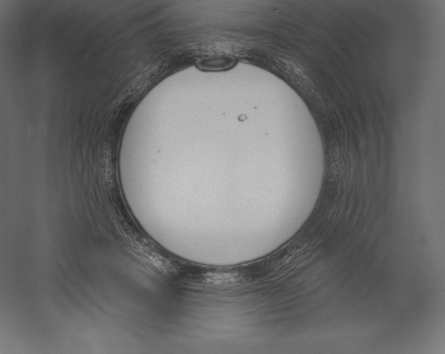 X0000060270457200511241459