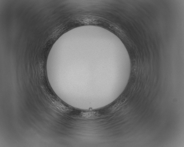 X0000060270461200511241459