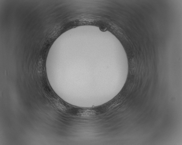 X0000060270463200511241459