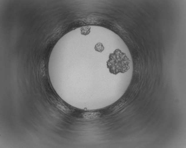 X0000060270465200511241459