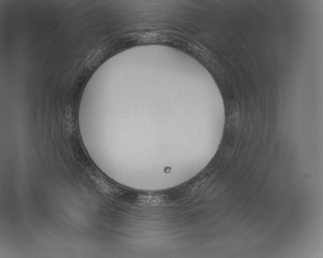 X0000060270469200511241459