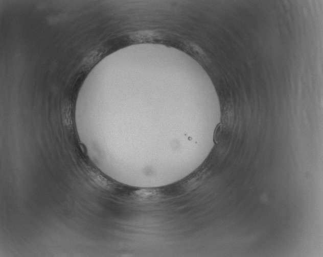 X0000060270477200511241459