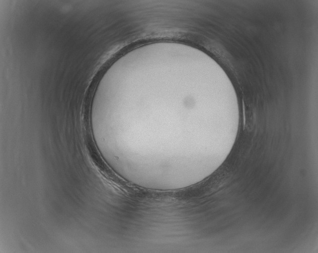 X0000060270483200511241458