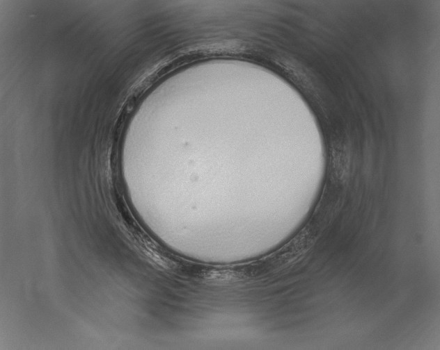 X0000060270487200511241458