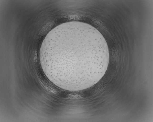 X0000060270502200511241458