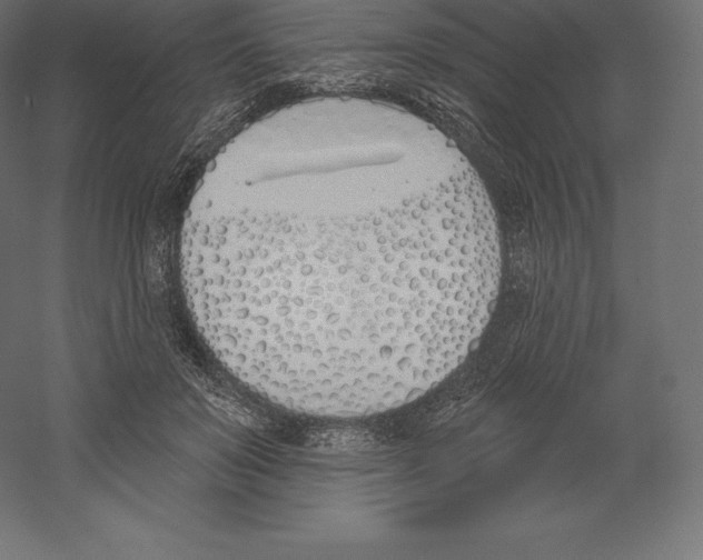 X0000060270503200511241458