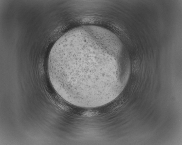 X0000060270504200511241458