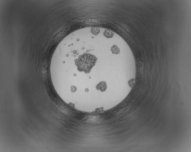 X0000060270507200511241458