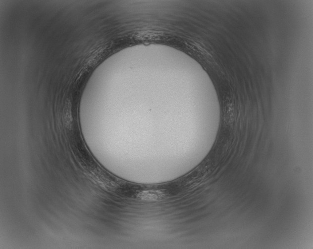 X0000060270508200511241458