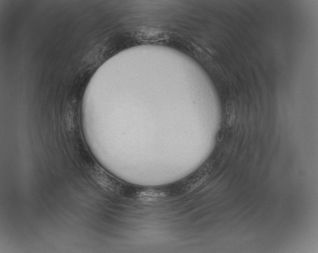 X0000060270515200511241458