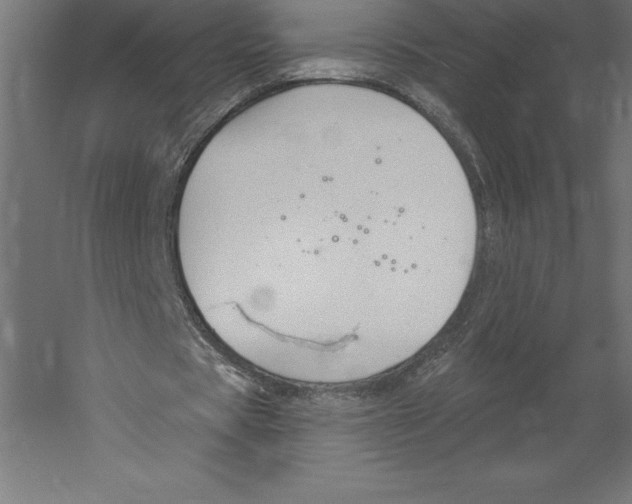 X0000060270529200511241457