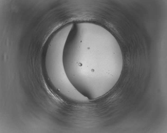 X0000060270534200511241457