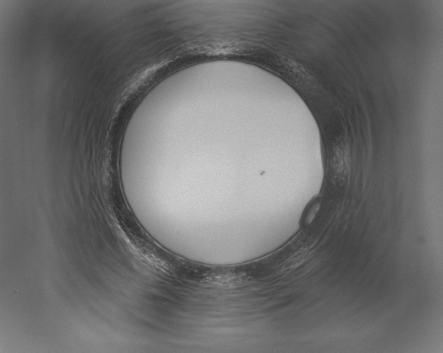 X0000060270540200511241457