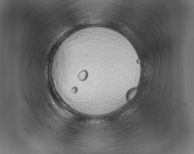 X0000060270542200511241457