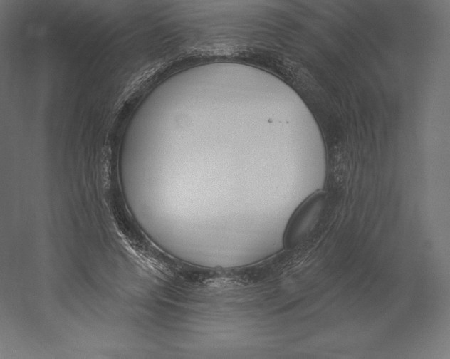 X0000060270544200511241457