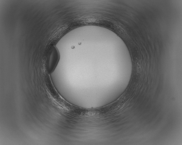 X0000060270546200511241457