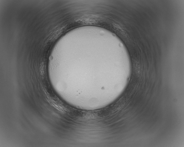 X0000060270549200511241457