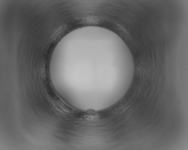 X0000060270552200511241457