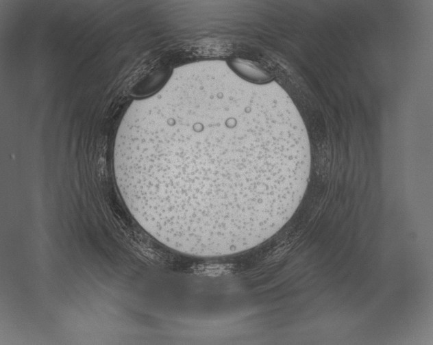 X0000060270553200511241457