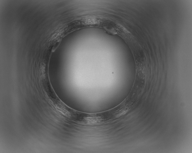 X0000060270556200511241457