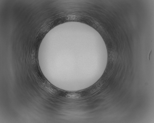 X0000060270557200511241457