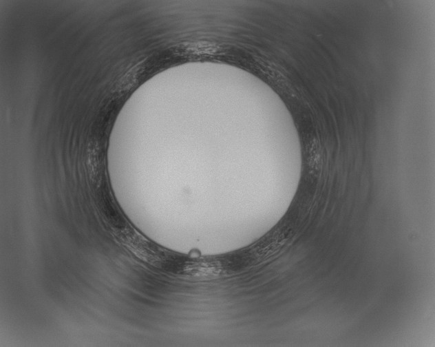 X0000060270559200511241457