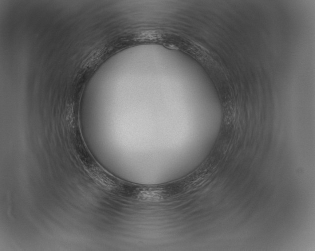 X0000060270560200511241457