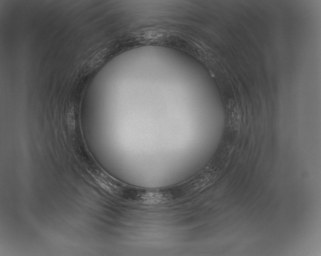 X0000060270562200511241457