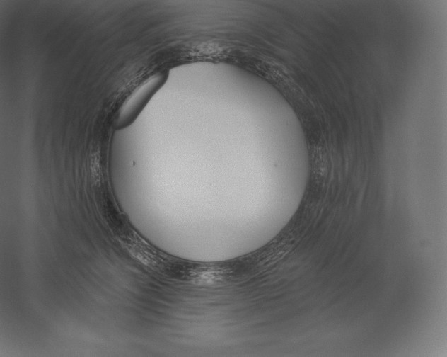 X0000060270564200511241457