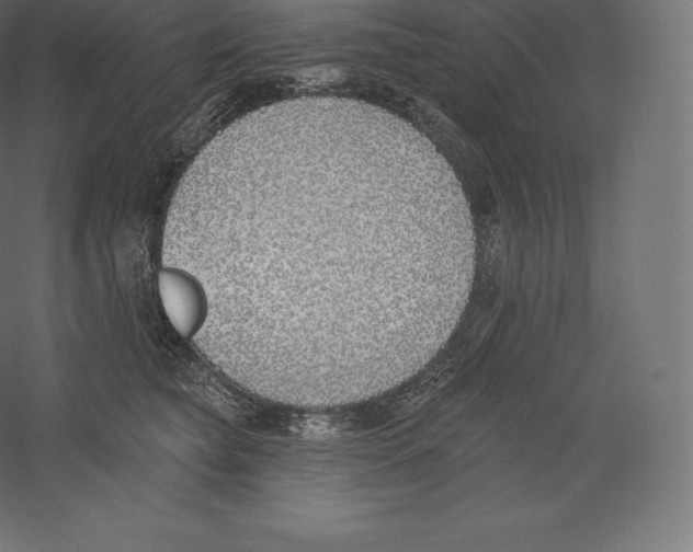 X0000060270565200511241457