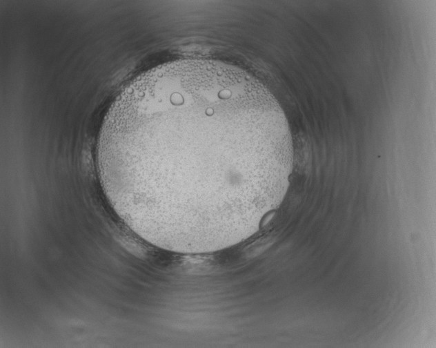 X0000060270573200511241457