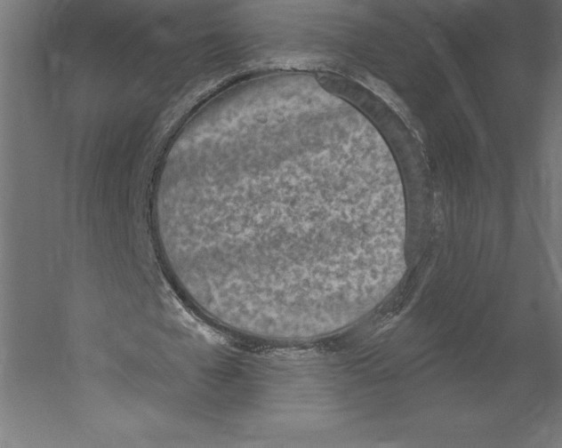 X0000060270577200511241457