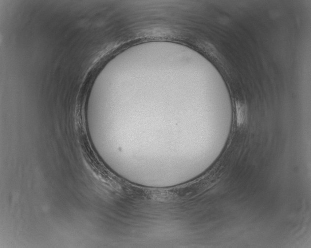 X0000060270579200511241457