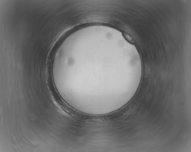 X0000060270580200511241457