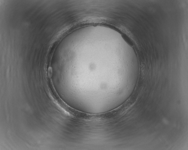 X0000060270581200511241457