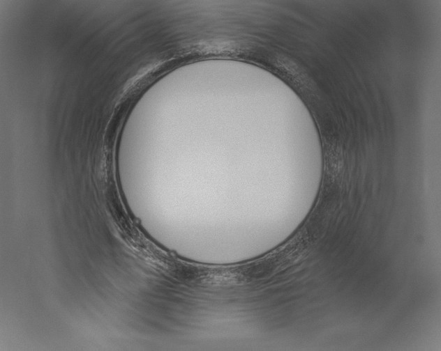 X0000060270583200511241456