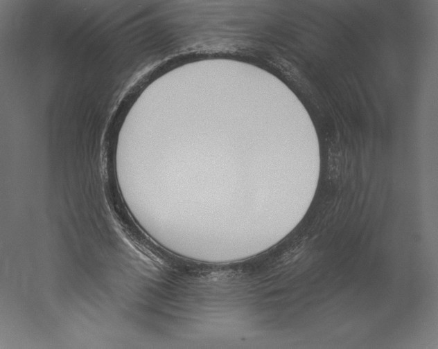 X0000060270584200511241456