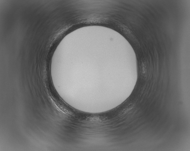 X0000060270588200511241456