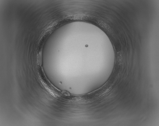 X0000060270589200511241456