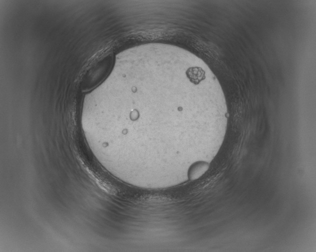 X0000060270590200511241456