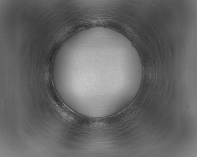 X0000060270593200511241456