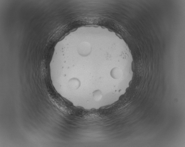 X0000060270594200511241456