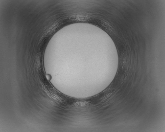 X0000060270595200511241456